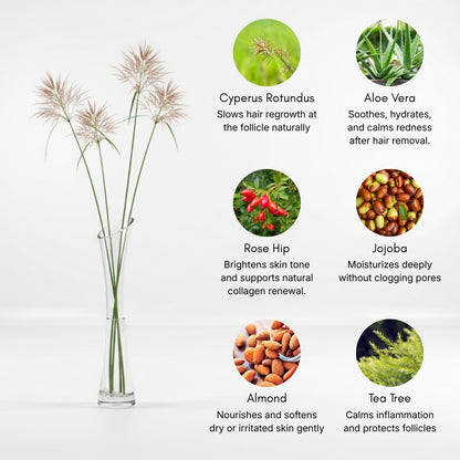 Cyperus Rotundus Hair Reduction Oil